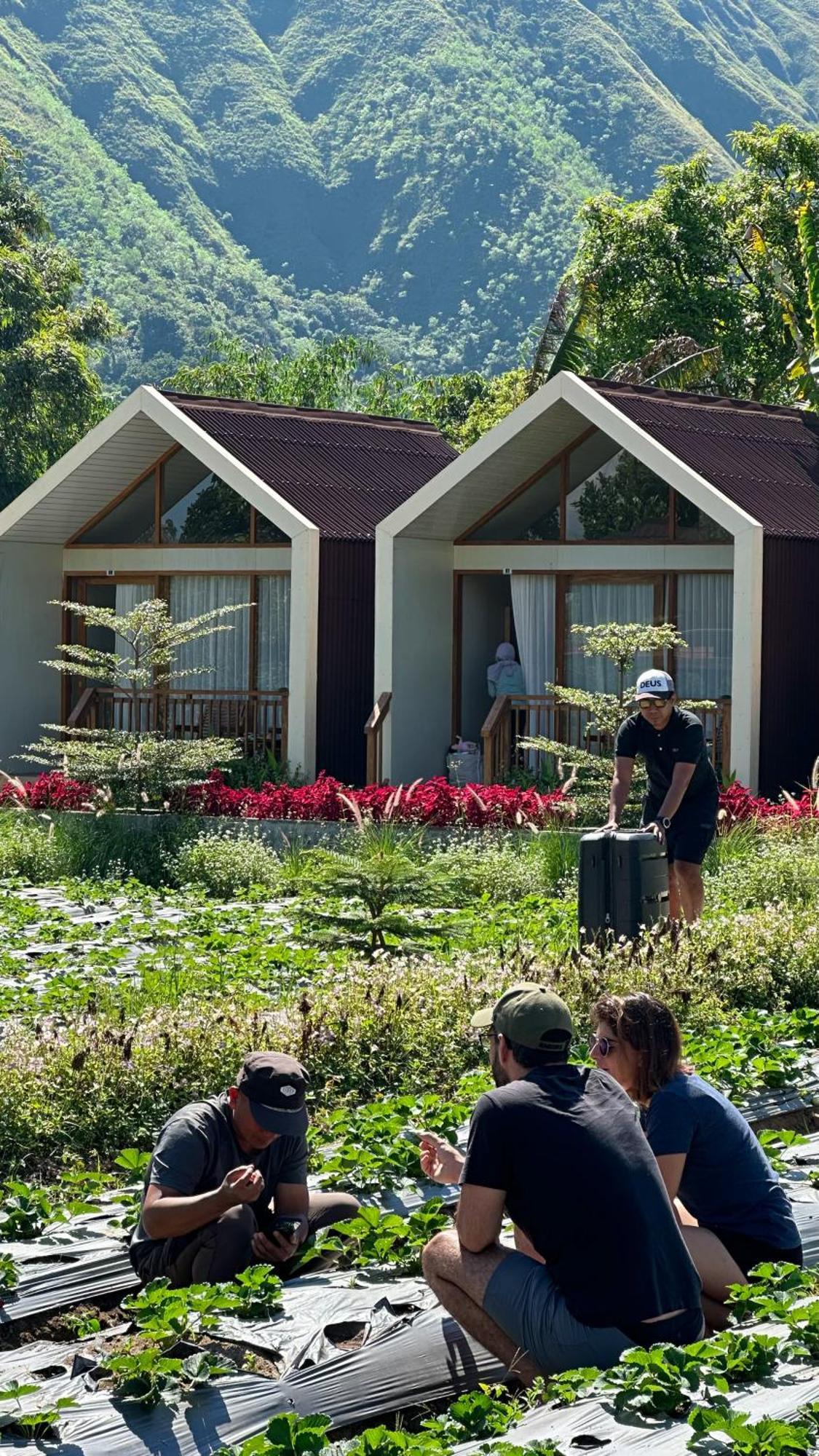 Rautani Sembalun Sembalunlawang Exterior foto